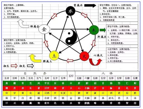 東方甲乙木|第17課十天干顏色、陰陽、五行方位、屬性、轉換關係等（珍藏。